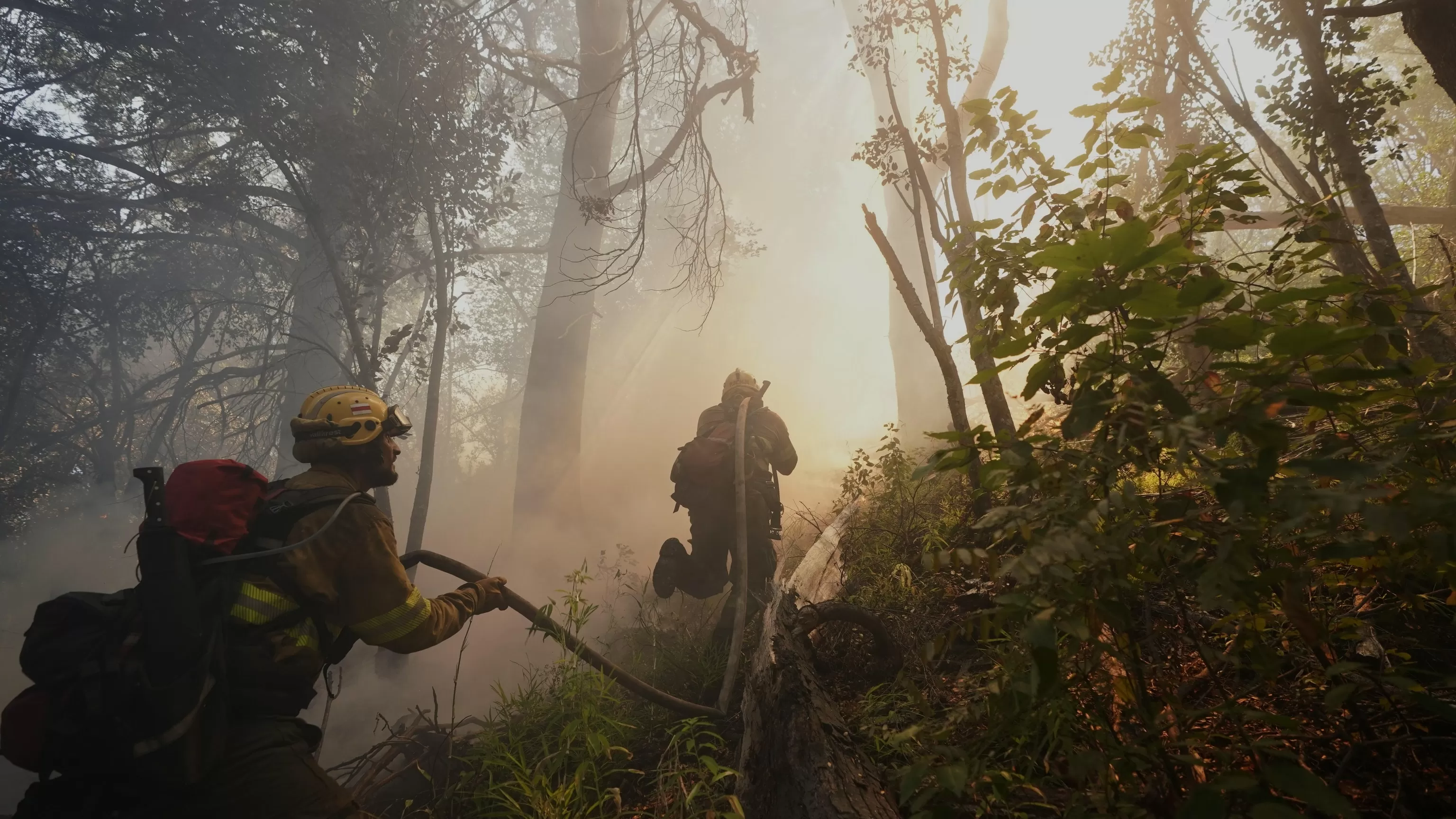 Argentina fires ravage pristine Patagonia forests, fueling criticism of Milei's austerity