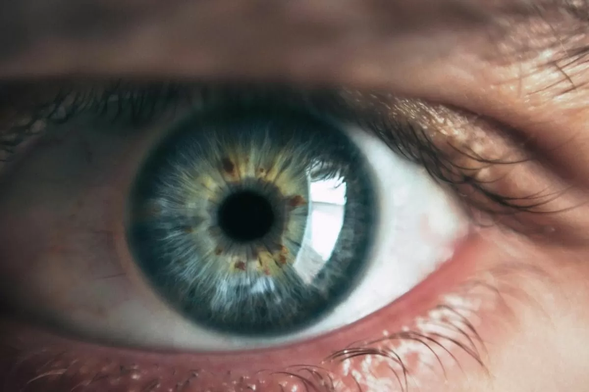 5 Reasons Why Eye Examinations Must Be A Part Of Your Annual Health Check-ups
