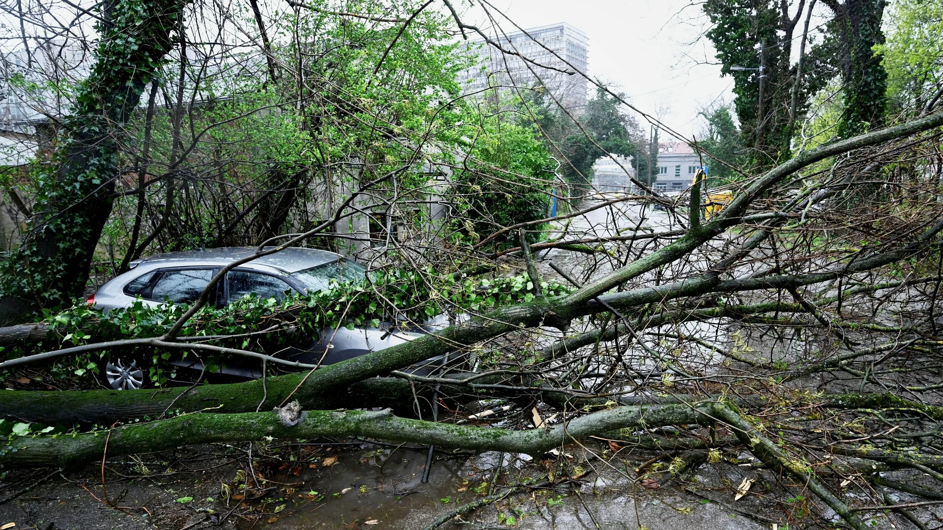 Snow and stormy winds close schools and roads, and cut power in some Balkan countries