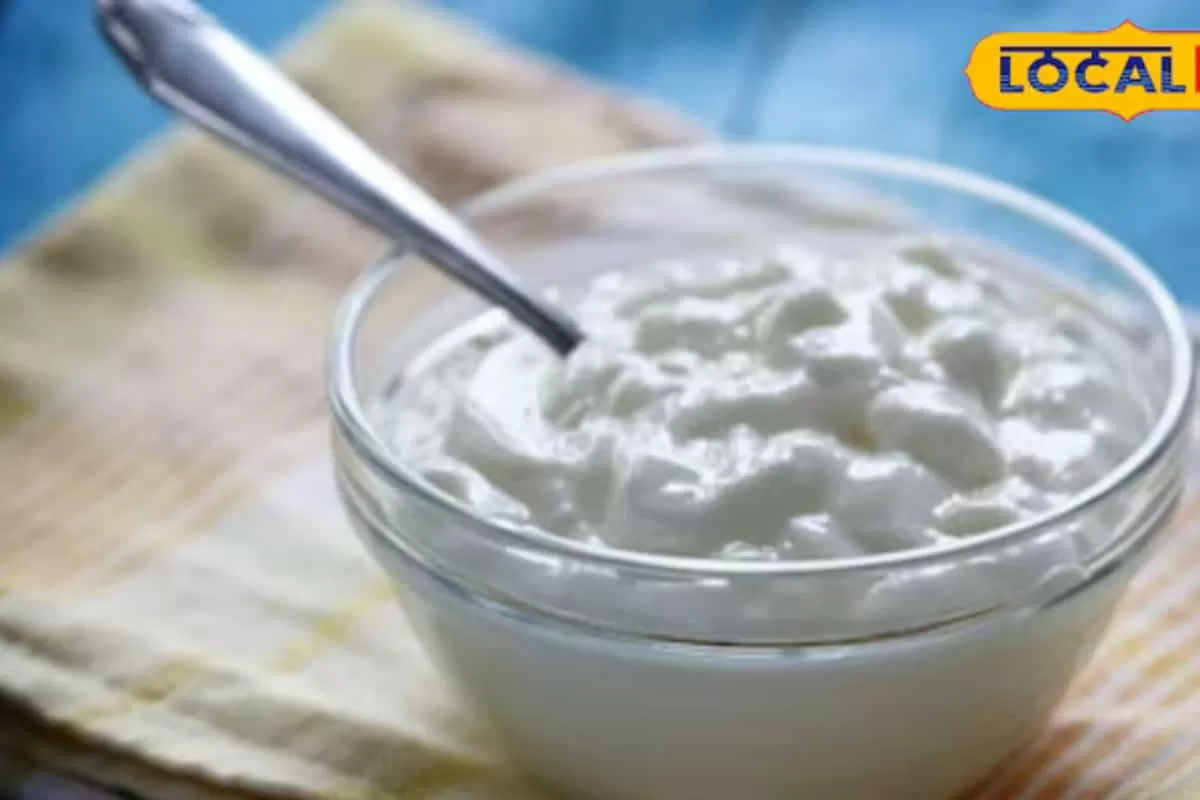 Curd Turning Sour Overnight? These Easy Household Tips Can Keep It Sweet and Fresh for Hours