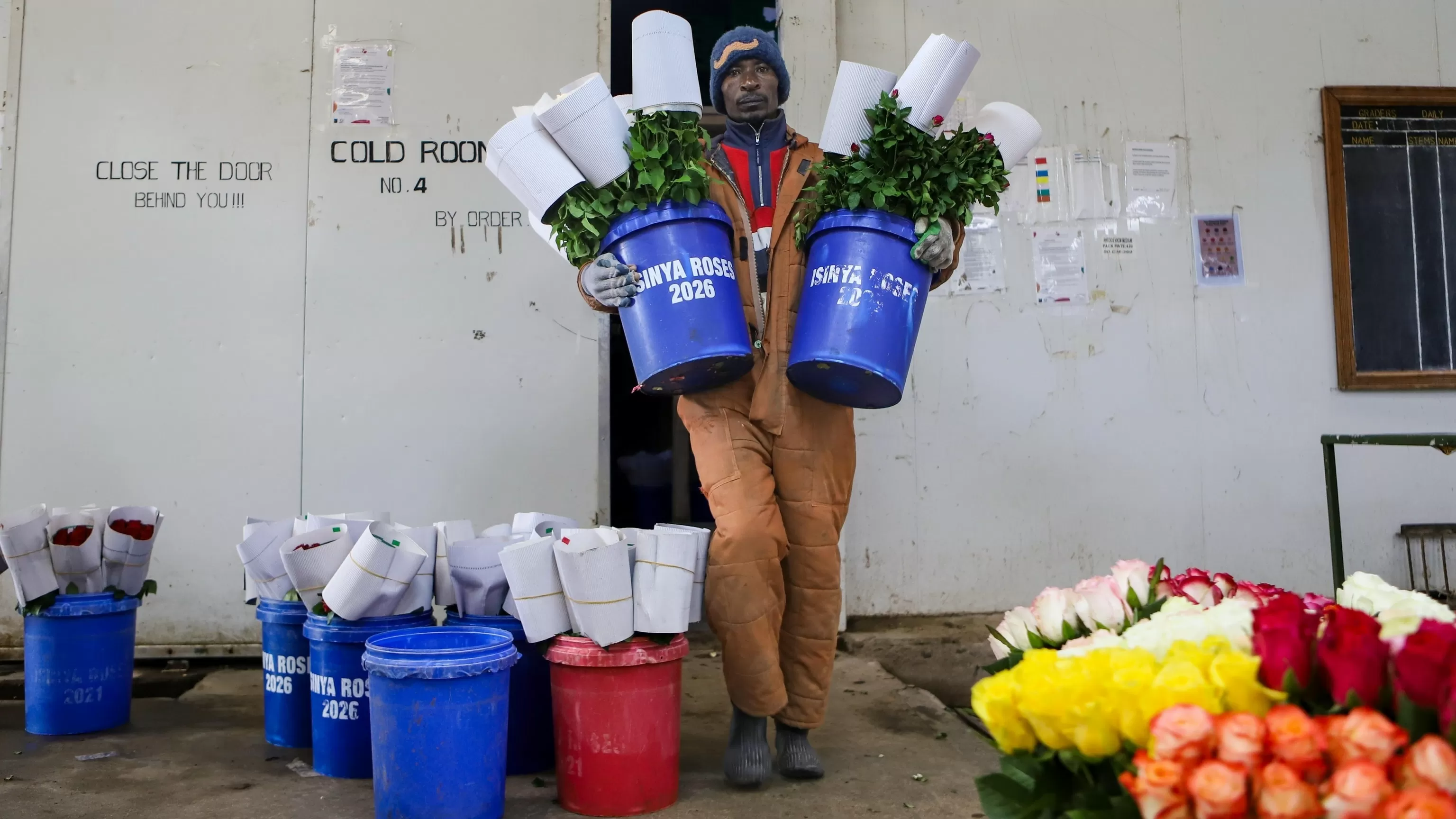 Kenya’s flower industry loses millions of dollars weekly due to the Iran war