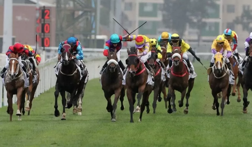 How Major Sporting Events Like Cheltenham Festival Impact The UK Economy