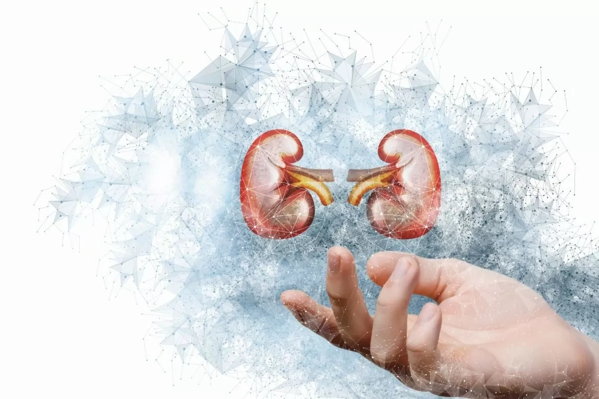 World Kidney Day 2026: How Kidney Disease Often Goes Undiagnosed Until It’s Too Late