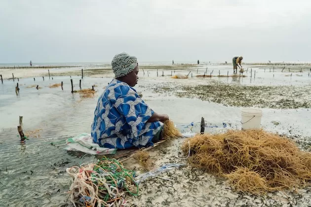 Explainer: How the GEF Funds Global Environmental Action
