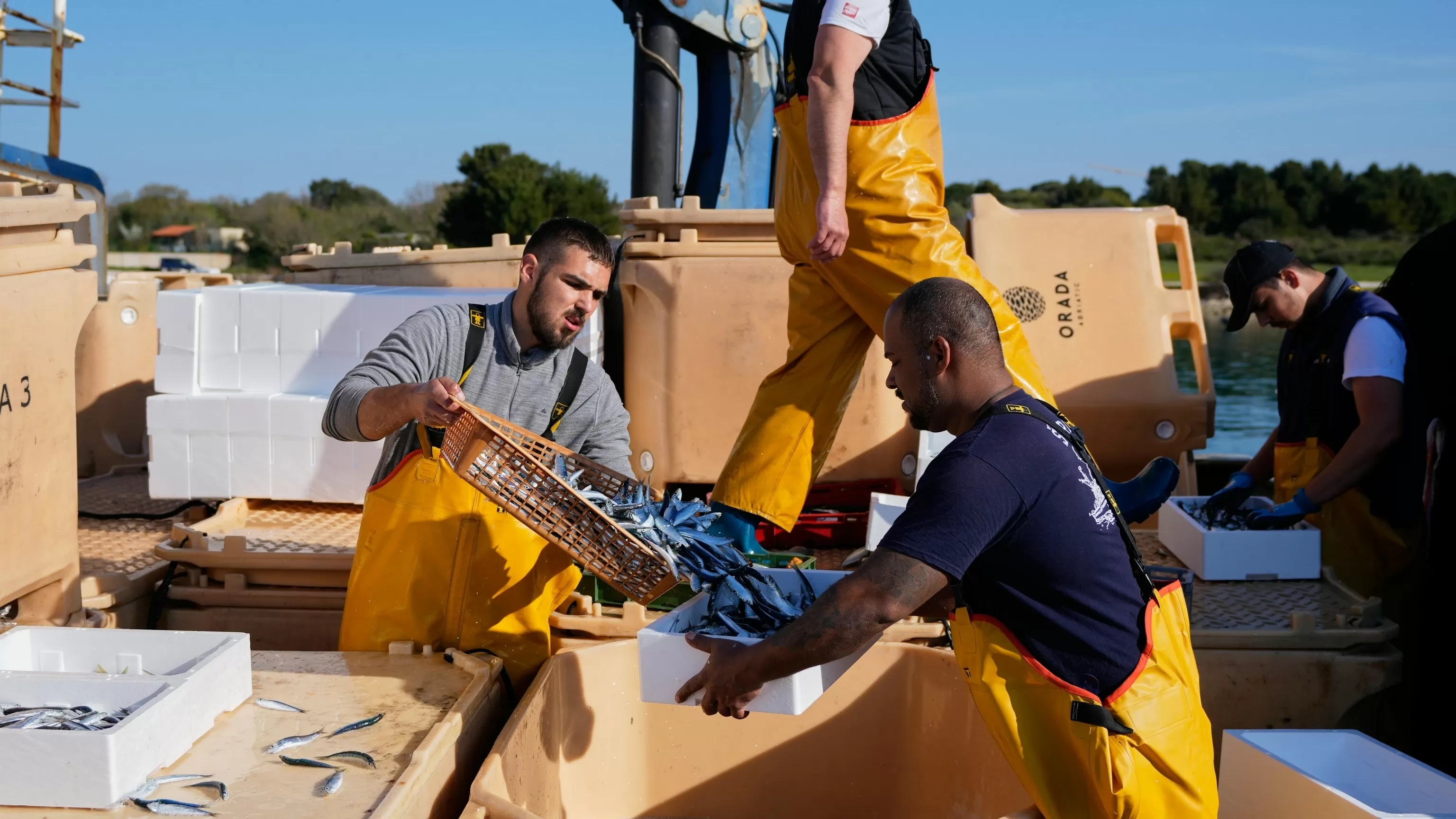 Croatian fishermen feel the strain after Iran war ramps up fuel prices